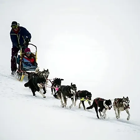 Smuksjoseter Fjellstue, Rondane Mountainlodge Hotell
